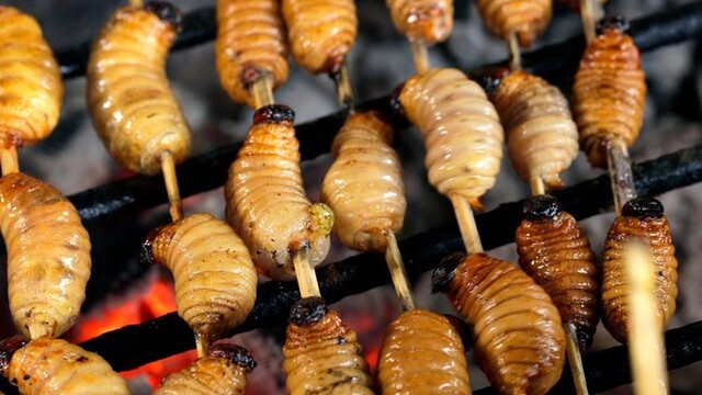 Makanan Aneh Tapi Enak